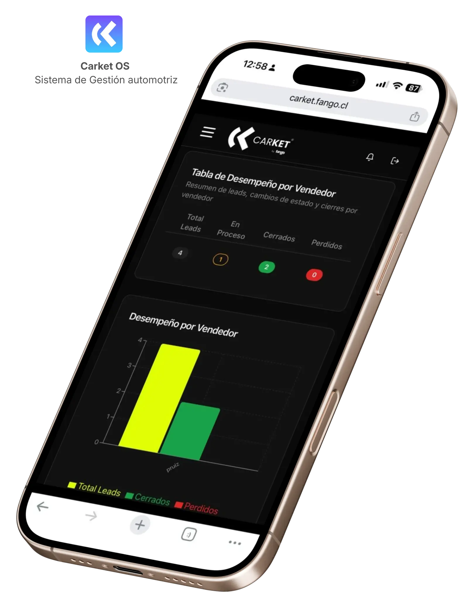 Marketing automotriz Chile